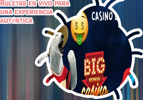 Casino en vivo